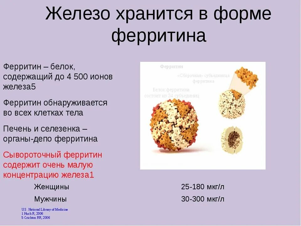 За что отвечает ферритин в организме женщин. Ферритин. Ферри. Низкий ферритин. Ферритин снижен.