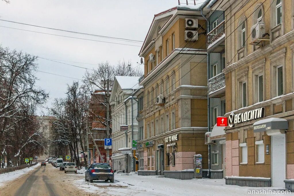 Липы посадили в сквере на Звездинке - МК Нижний Новгород