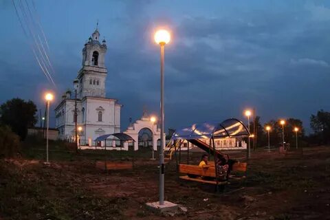 Цветы камышлов
