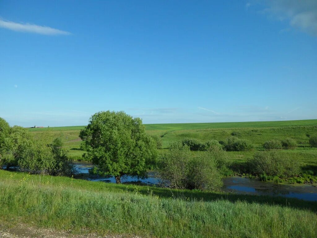 Добровский район липецкой области село. Добровский район Липецкой области. Родник богатырь Липецкая область. Добровский заказник Липецкая область. Добровский район Липецкой области природа.