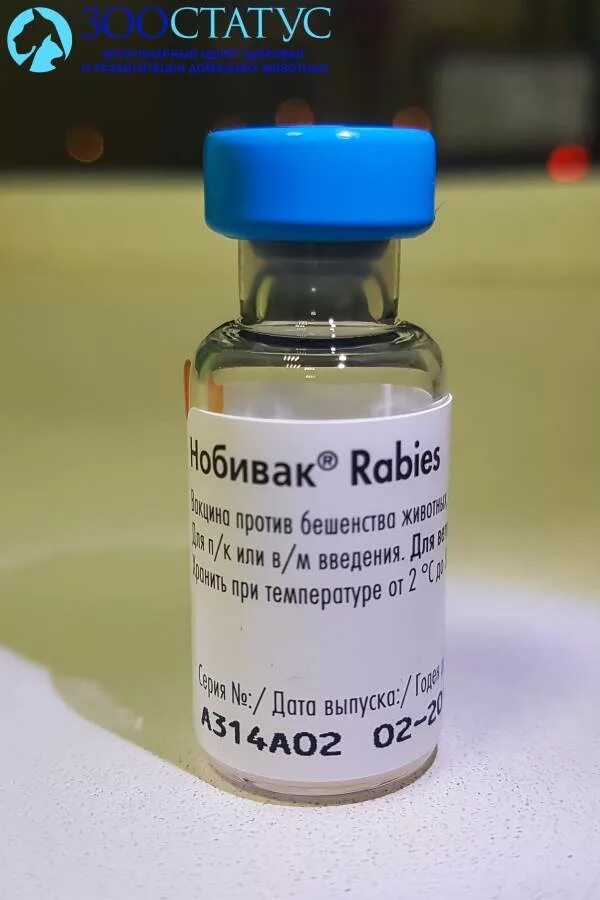 Вакцина rabies. Нобивак рабиес. Прививка от бешенства Нобивак. Бешенство вакцина Нобивак. Антирабическая вакцина от бешенства.