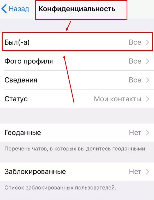 Как ватсап увидеть время посещения. Время посещения. Как узнать время посещения. Скрыть время посещения в WHATSAPP на айфоне. Как в ватсапе скрыть время посещения.