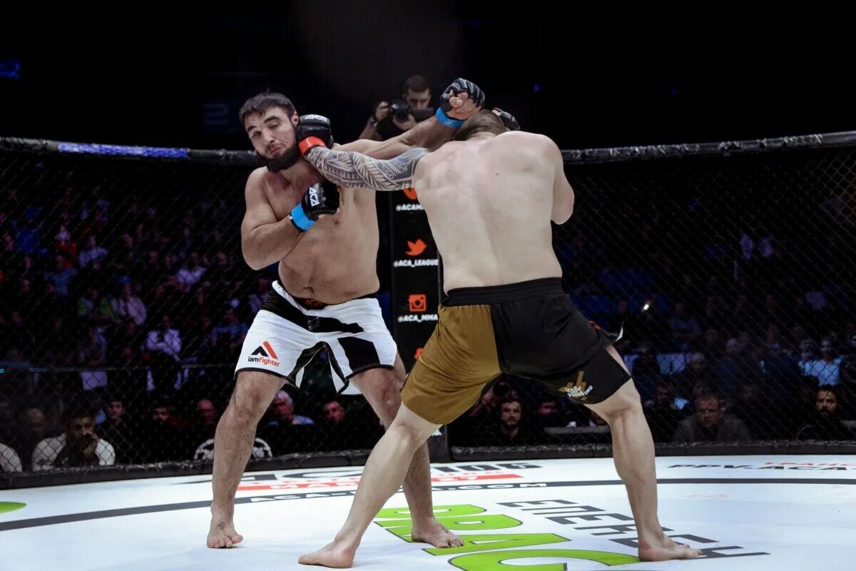 Вахаев боец. Мухаммад вахаев. Вахаев боец. Мухаммад вахаев боец. Вахаев чемпион аса.