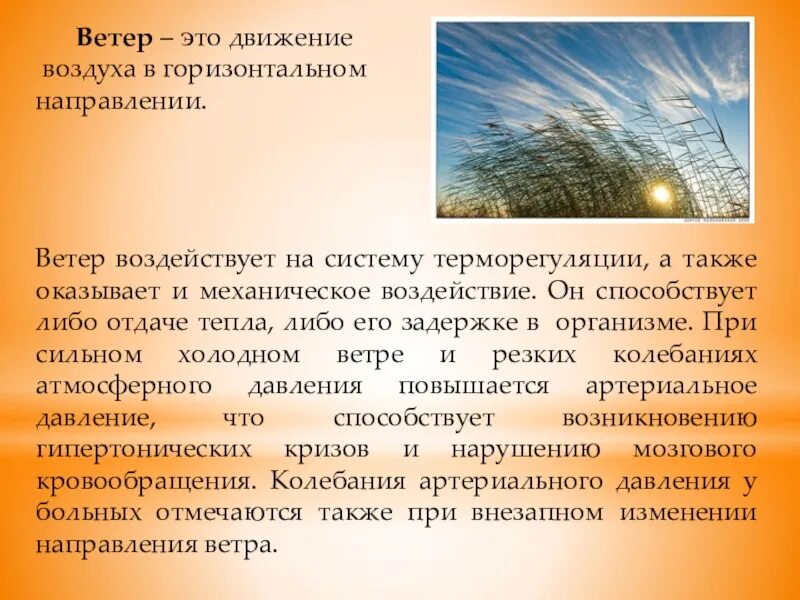 Влияние погода на здоровье человека проект. Влияние ветра на самочувствие человека. Влияние погодных условий на здоровье человека. Ветер. Сильный ветер влияние на организм человека.