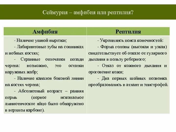 Отличие рептилий от земноводных. Сеймурия переходная форма. Отличие пресмыкающихся от земноводных. Амфибии и рептилии отличия. Различие рептилий и земноводных.