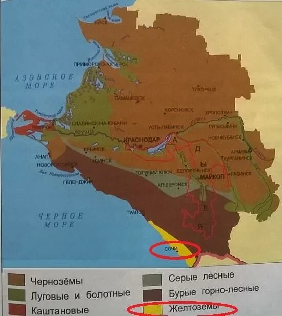 Типы почв республика адыгея фото почв Антропогенное воздействие на фитоценозы окрестностей аула Тахтамукай Республики