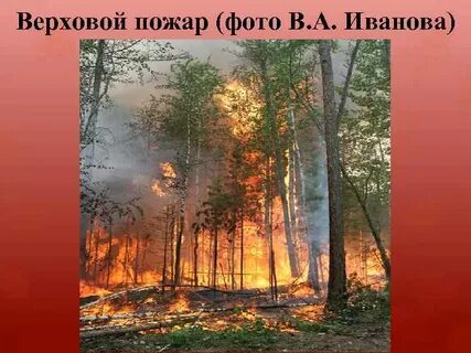 Верховой пожар может быть круговым ураганным