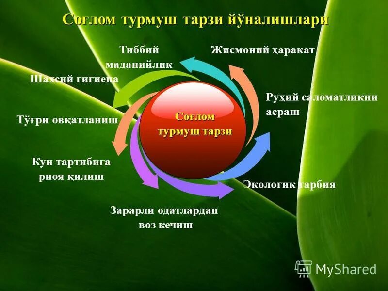 Квашеная ферментированная свекла. Оилаи мо иншо. Оилаи ман. Плов сырье. Тарзи хаети солим.