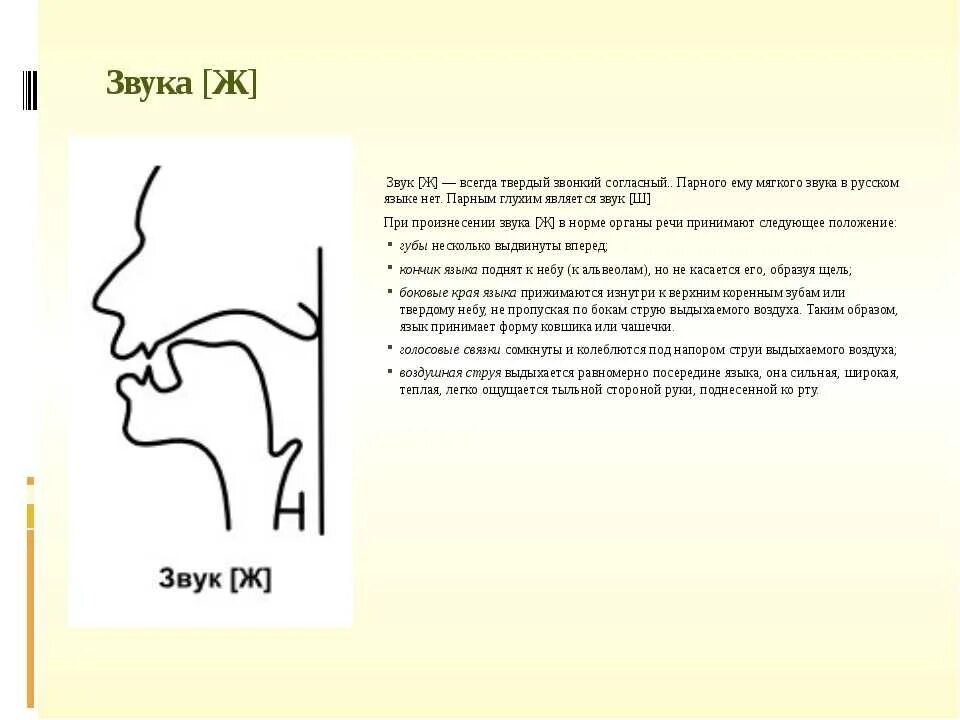 Правильная характеристика звука. Профиль артикуляции звука ж. Положение языка при звуке ж. Артикуляционный уклад звука ж. Правильный артикуляционный уклад звука [ж.