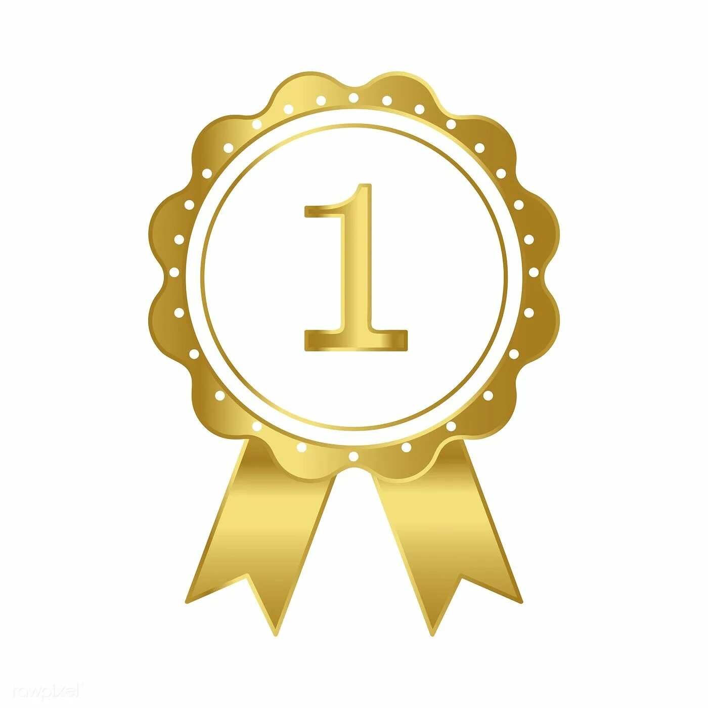 5 лет опыта работы