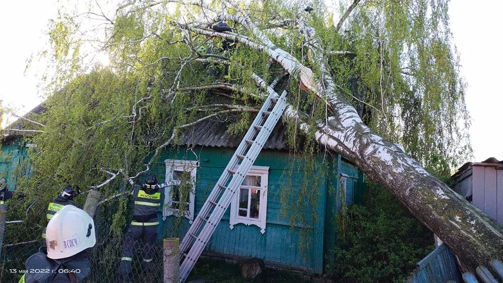 Ураган в мурте. Ураган курская брянская область. смерч в брянске.