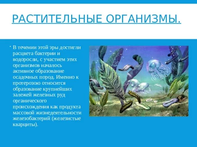 Появление водорослей эра. Водоросли в эру протерозой. Одноклеточные водоросли протерозой. Растительный организм. Организмы протерозойской эры.