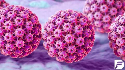 Cancer study