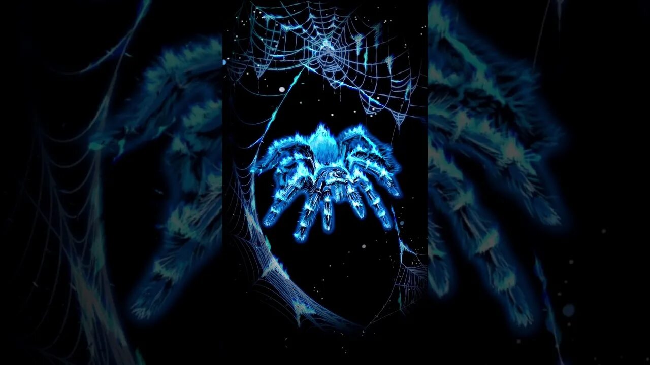 Живые обои паук. Живые обои пауки. Обои на телефон паук. Арахнофобия обои.