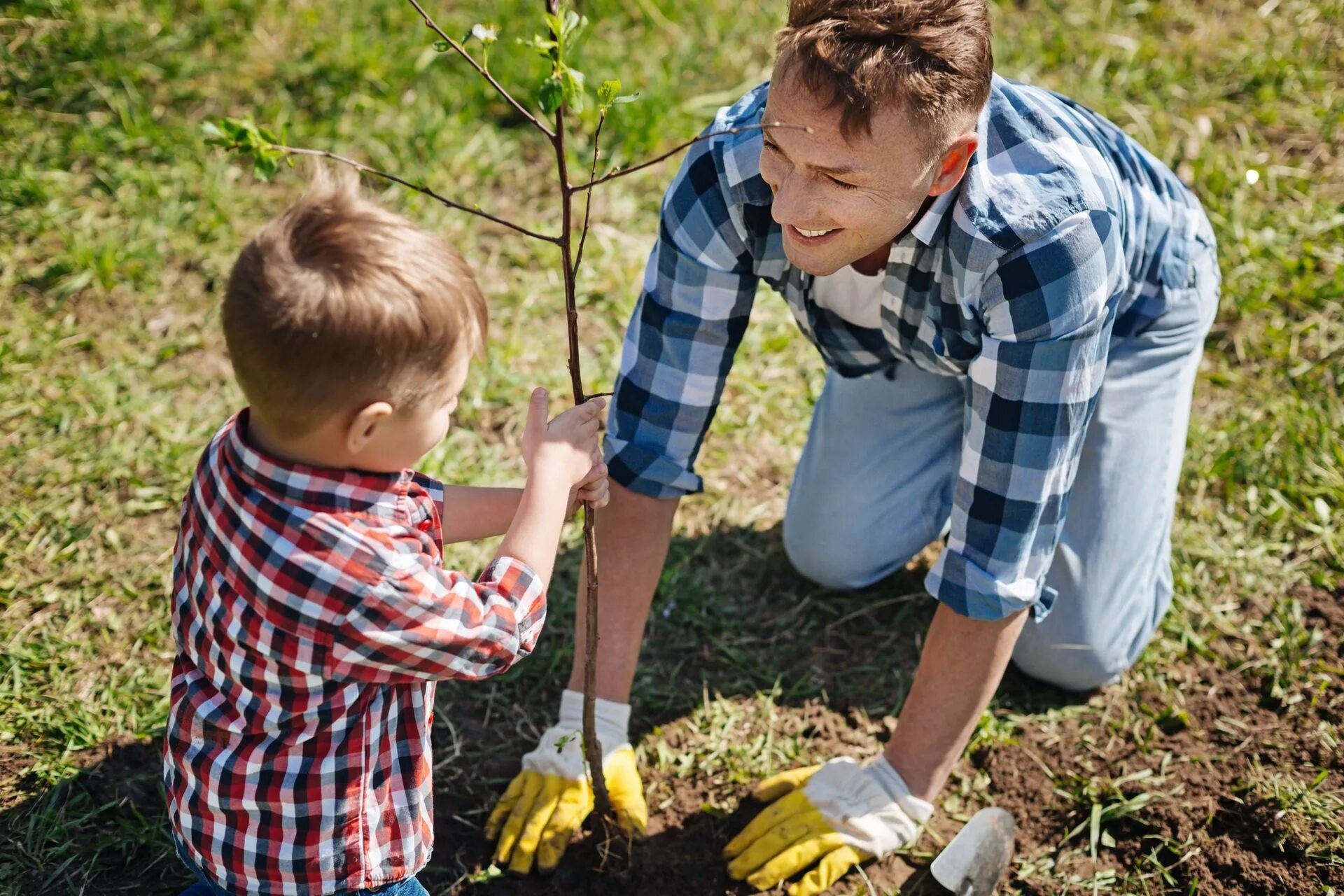 Мальчик сажает дерево. Отец и сын сажают дерево. Дети сажают деревья. Папа в саду. Дети сажают самолет