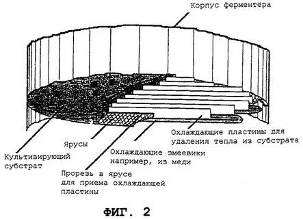 Поверхностные культуры