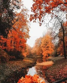 Beautiful Autumn colors! #autumn #fall #autumnvibes.