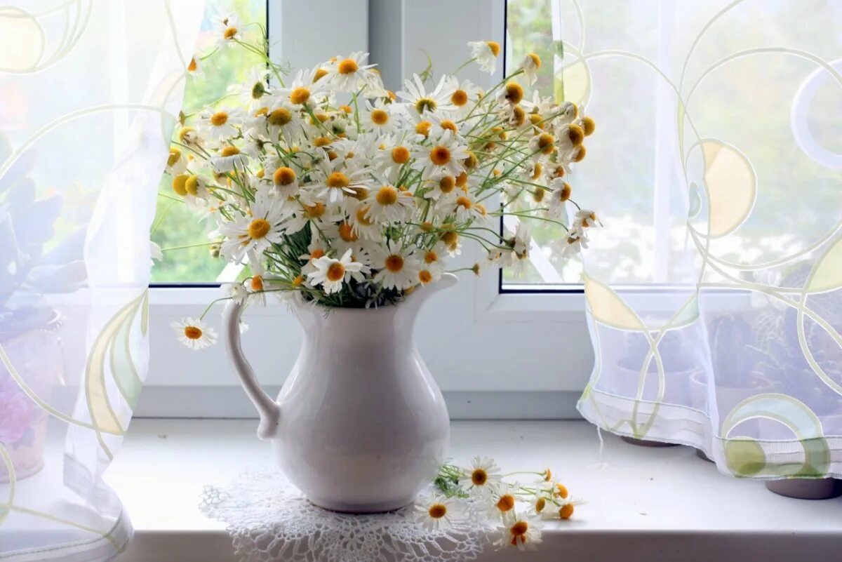 Доброе утро цветы солнце. Цветы на окне. Букет ромашек на окне. Полевые цветы на окне. Летние цветы в вазе.