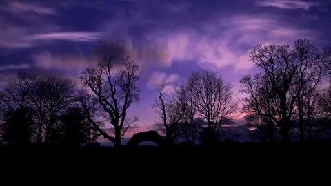 Much evening