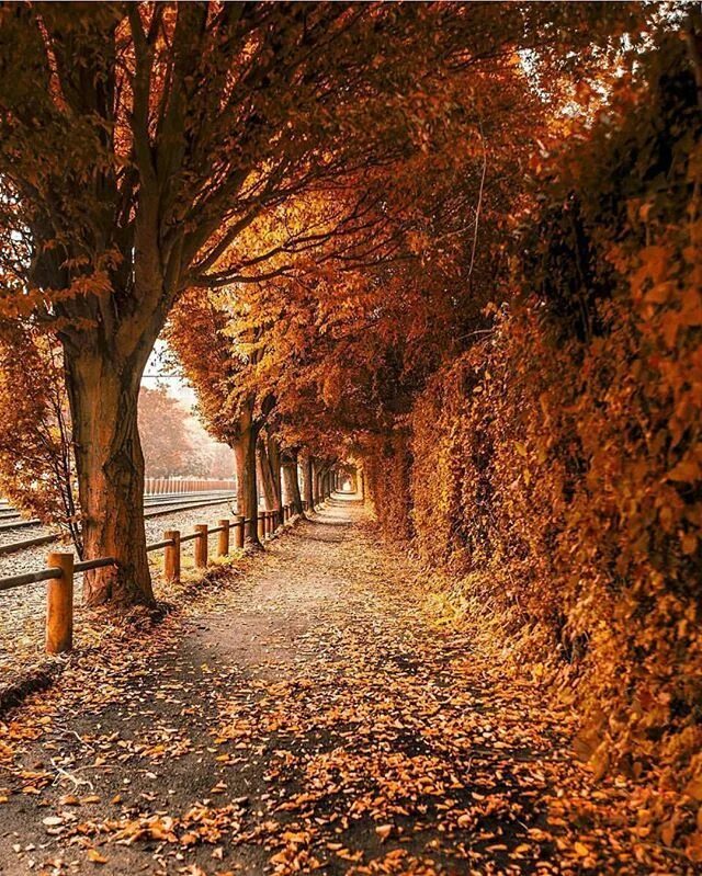 Fall in sight