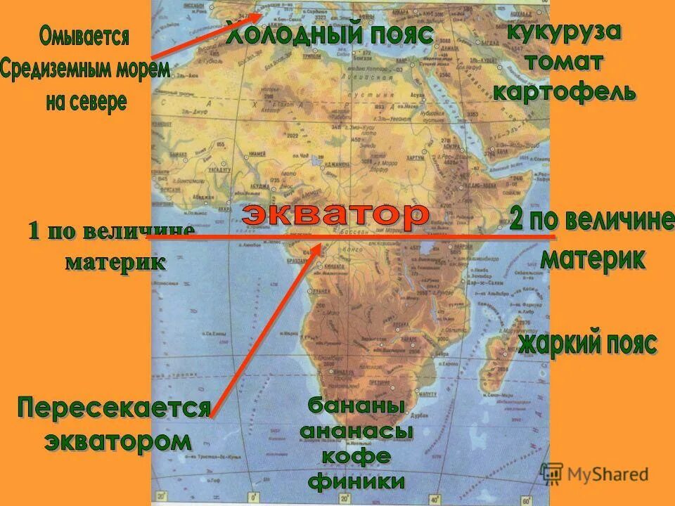 Экватор пересекает материк почти посередине. Материки которые пересекаются экватором. экватор пересекает материки. материк который пересекается экватором. материки которые пересекают экватор.