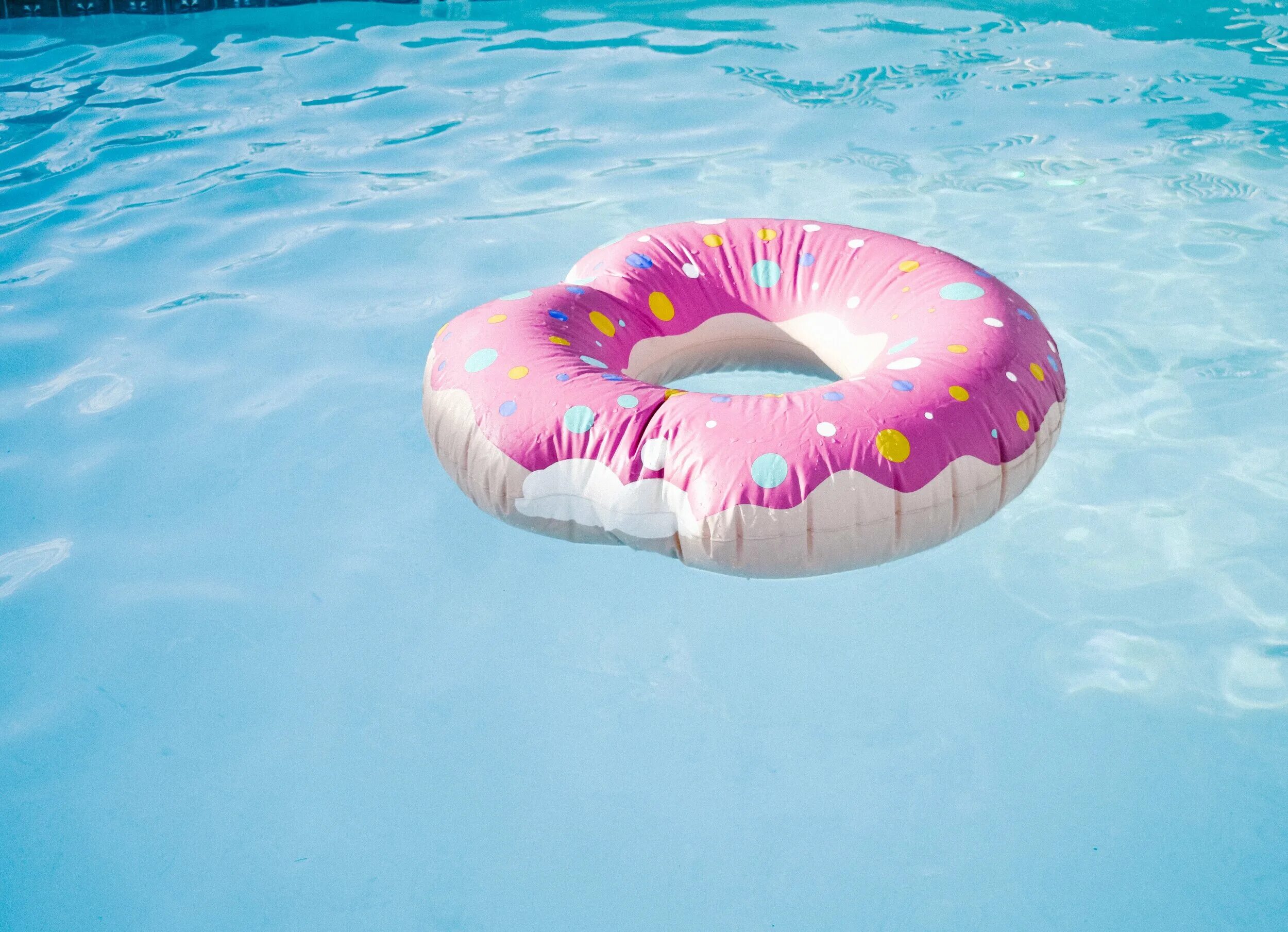 Every pool. Надувной круг на воде. надувной круг intex 59258. надувной круг фиолетовый. pool float.