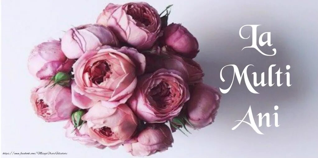 Felicitari pentru ziua de nastere. Felicitari. cu ziua de nastere картинки. цветы la multi ani. картинки la multi ani.