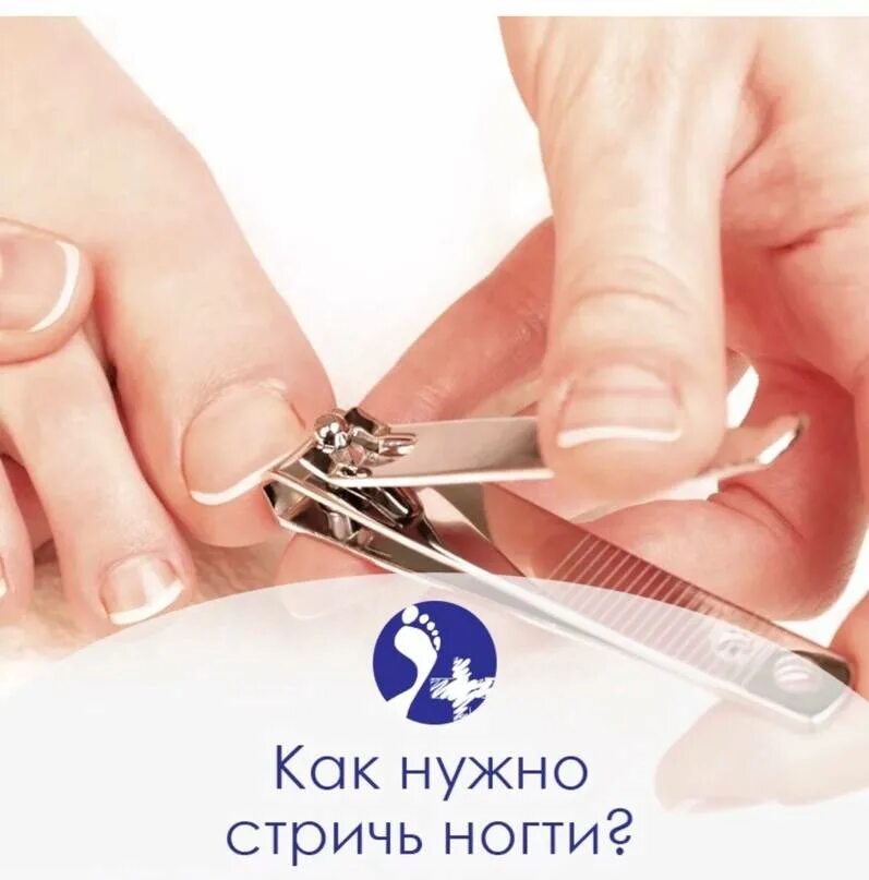 Техника стрижки ногтей. Как стричь ногти. Как нужно стричь ногти. Как правильно стричь ногти фото. В благовещение можно стричь ногти