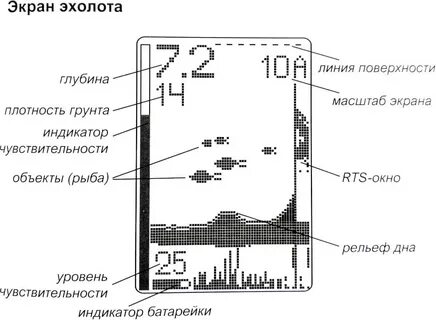 Плотность дна