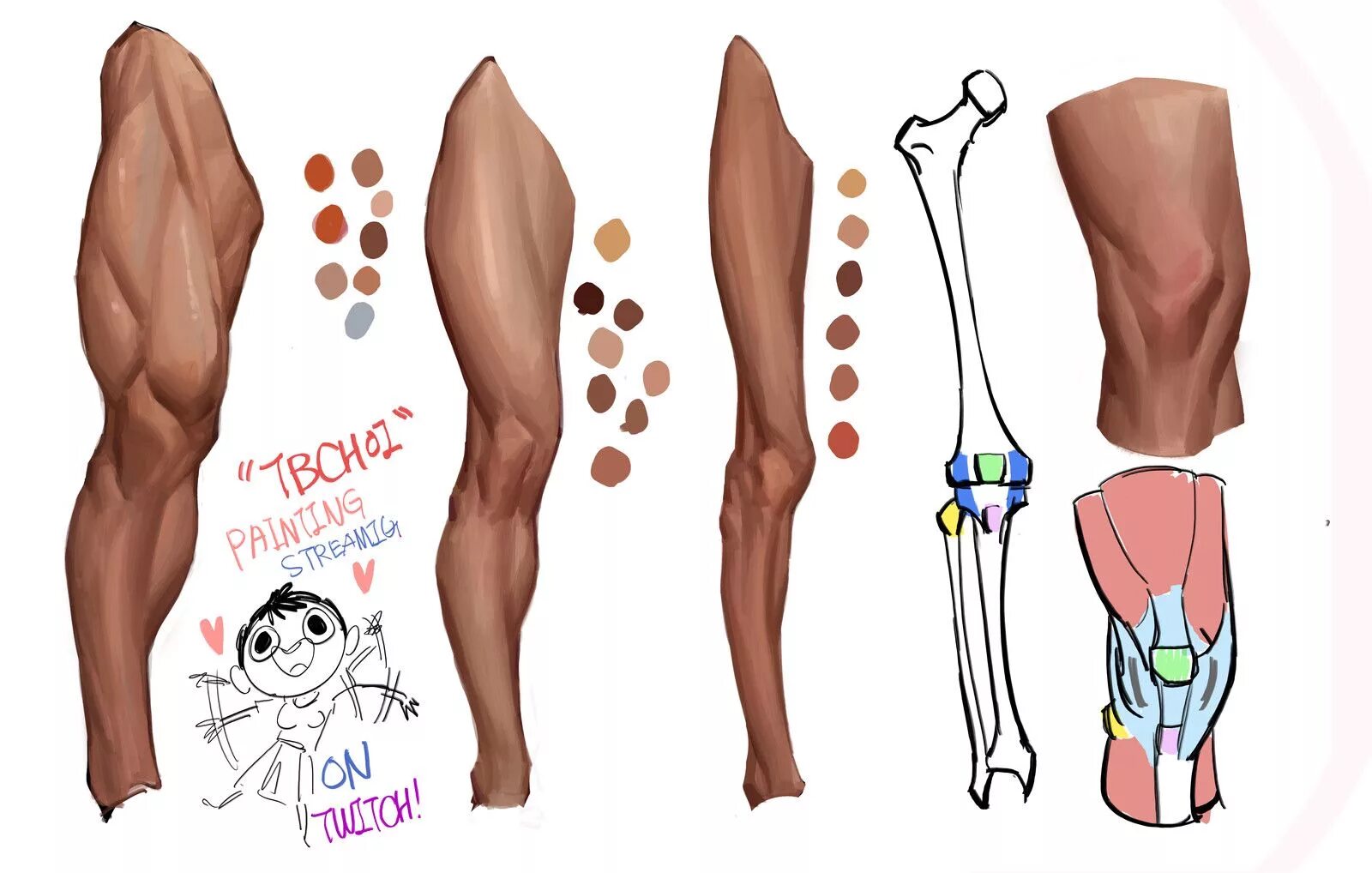 Leg art. Ноги референс анатомия. Мышцы голени референс. Ноги мужские анатомия референс. Ноги референс анатомия анатомия.