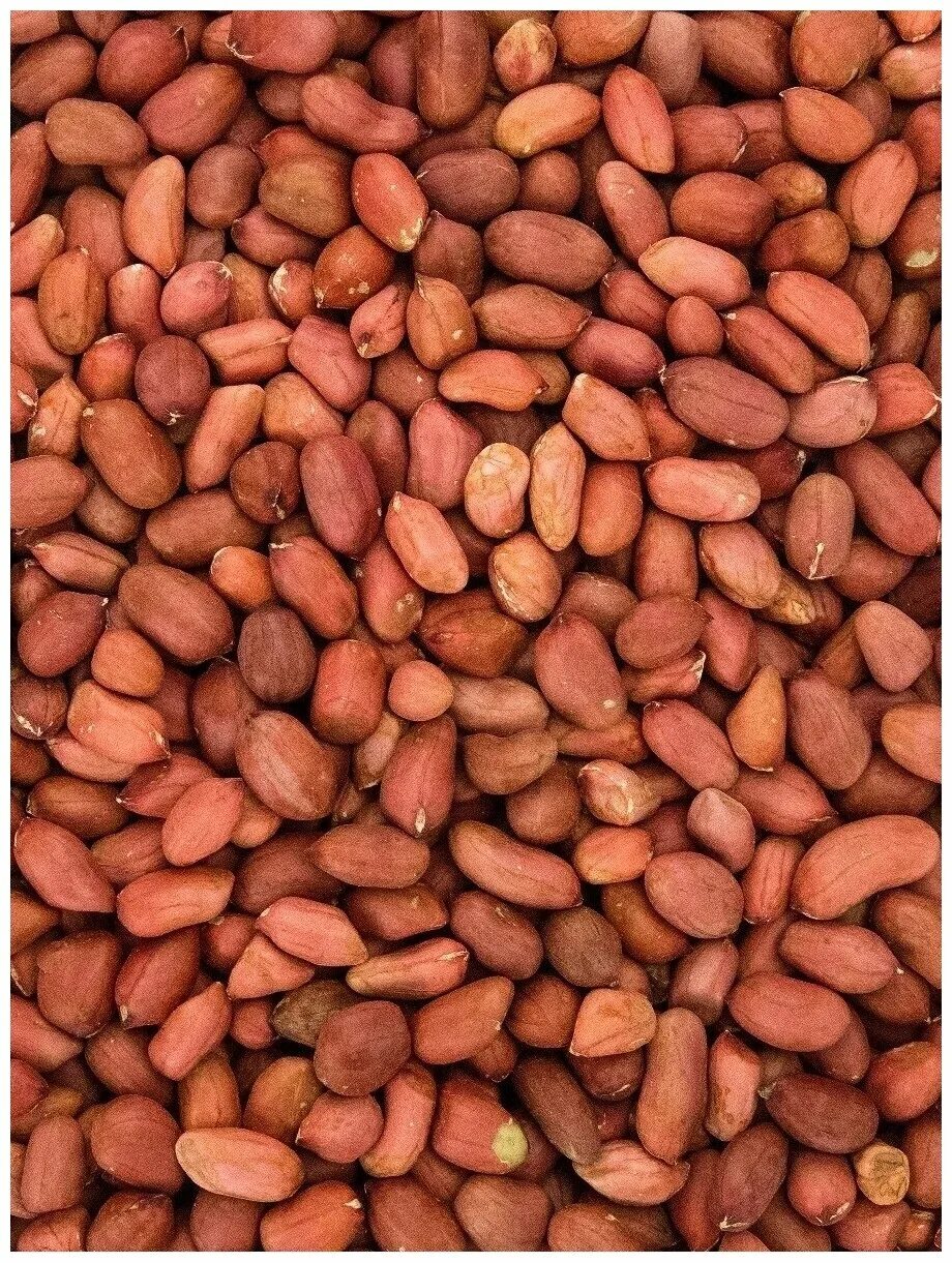 Земляной арахис. Земляной орех арахис. Арахис сырой 1кг Узбекистан. Арахис очищенный.