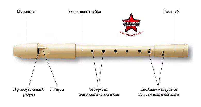 Отверстие в трубочке. Строение блокфлейты схема. Строение продольной флейты. Схема строения блок флейты. Блок флейта строение инструмента.