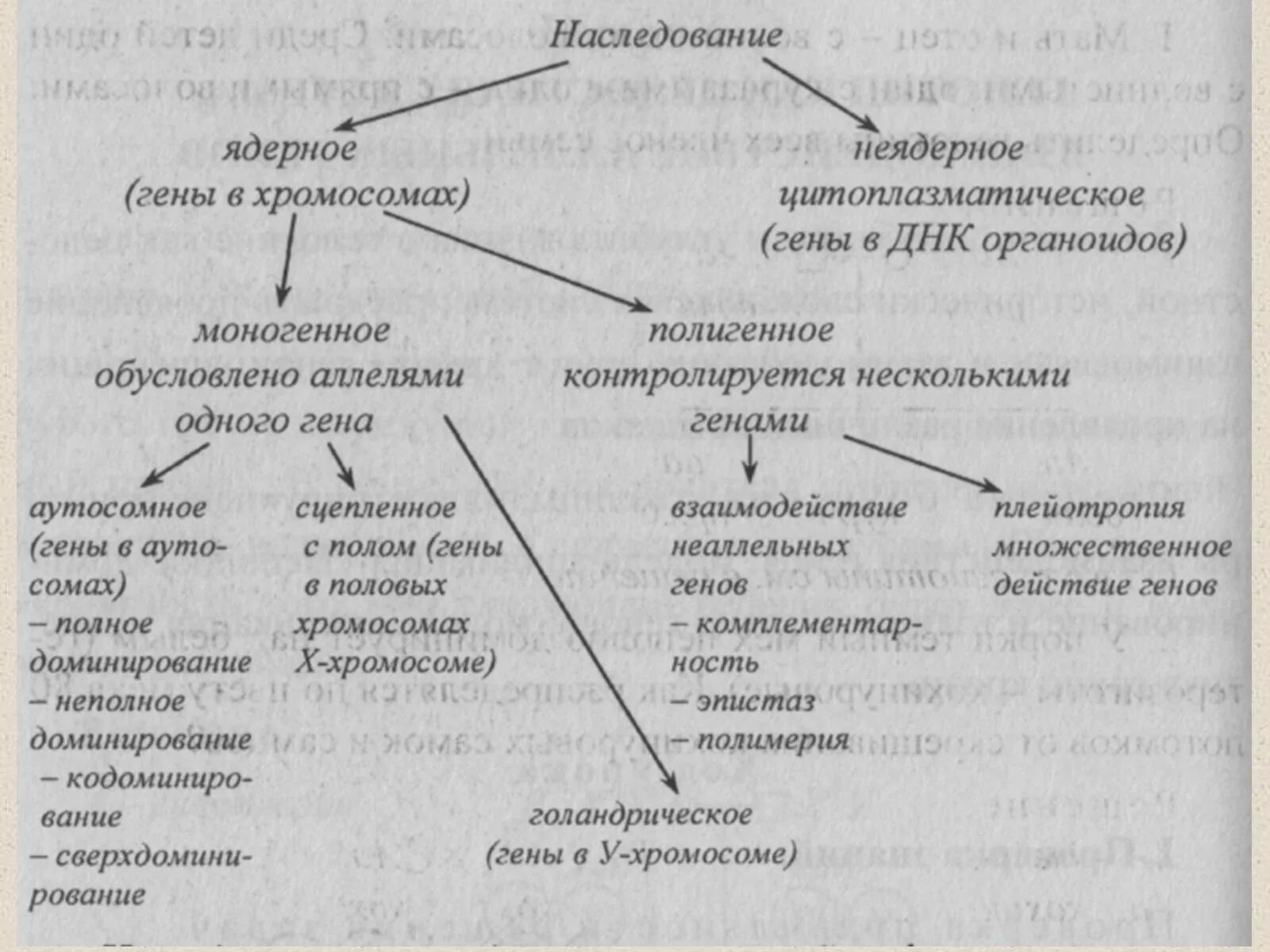 Днк наследственные признаки. Основные типы наследования признаков контролируемых ядерными генами. Полигенное наследование признаков. Типы наследования признаков таблица. Цитоплазматический Тип наследования.