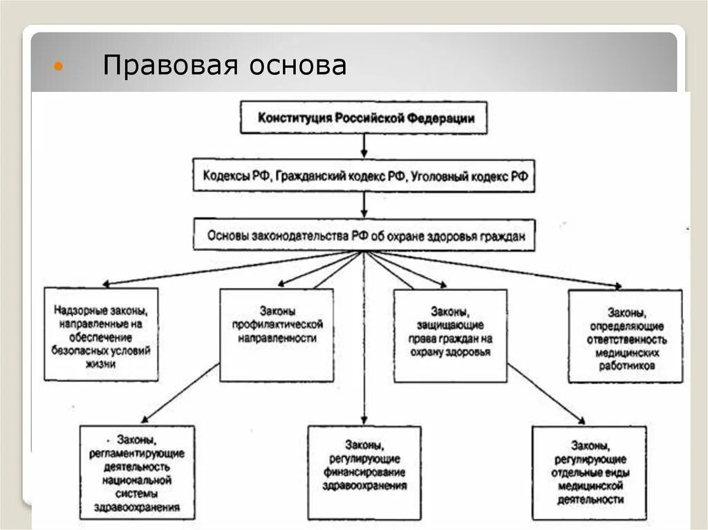 Территориальная организация здравоохранения