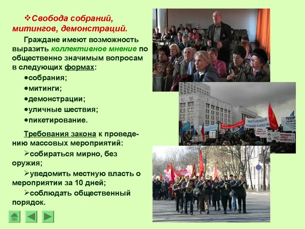 Право на митинги пример