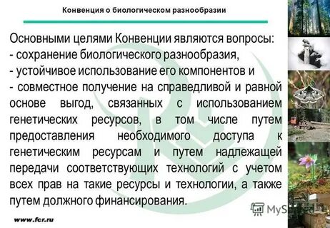 Биологические конвенции