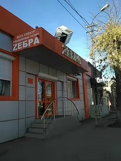 Зебра владикавказ