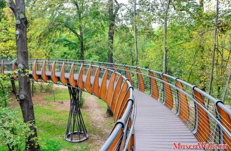 Экотропа в шереметьевской дубраве. Воздушная экотропа вднх. Шереметьевская дубрава вднх. Лесопарк тропинку вднх. Экологическая тропа вднх.