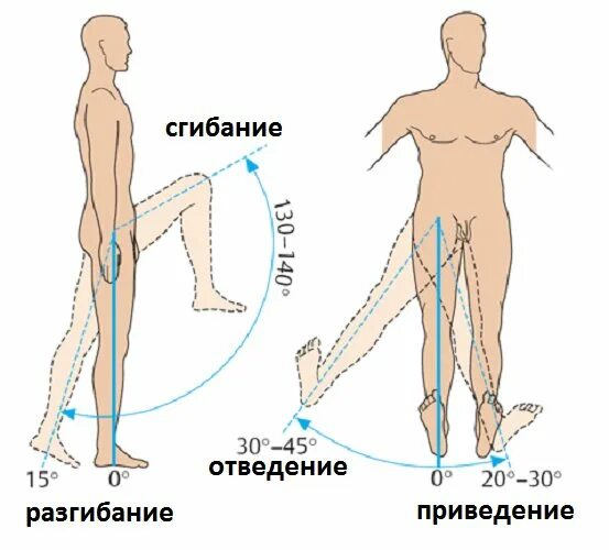 Определение движение в суставах. Объем движения в поясничном отделе позвоночника. Измерение амплитуды движений в суставах угломером. Исследование объема движений в локтевом суставе. Движения в плечевом суставе в градусах норма.