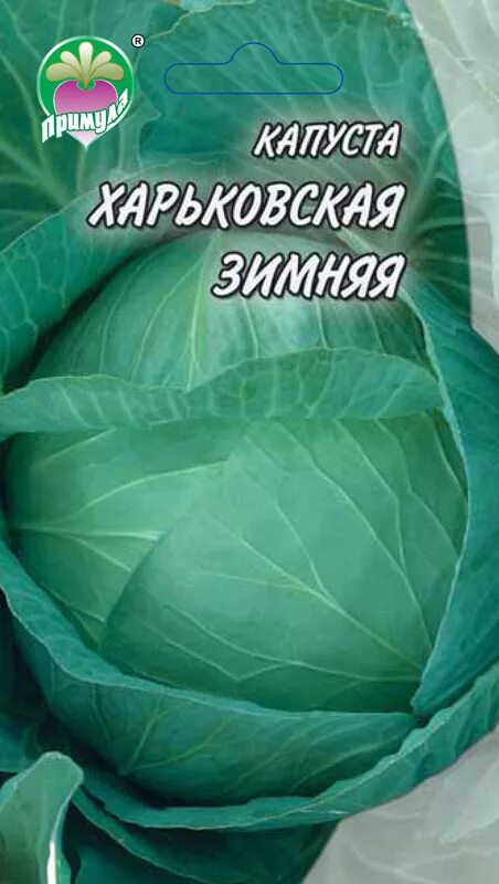 Отзыв о Семена капуста белокочанной Аэлита "Харьковская зимняя" Сажаем ТЫСЯЧАМИ,
