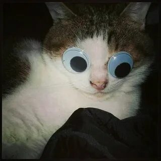 Who have seen