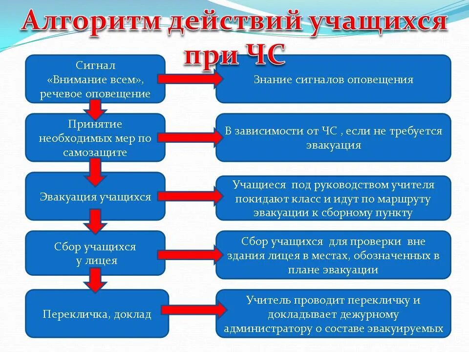 Алгоритм действий приема работника в общеобразовательную организацию. Алгоритм действий при ЧС. Алгоритм действий при ЧС В школе. Алгоритм действий в чрезвычайных ситуациях. Алгоритм действий при чрезвычайных ситуациях в школе.