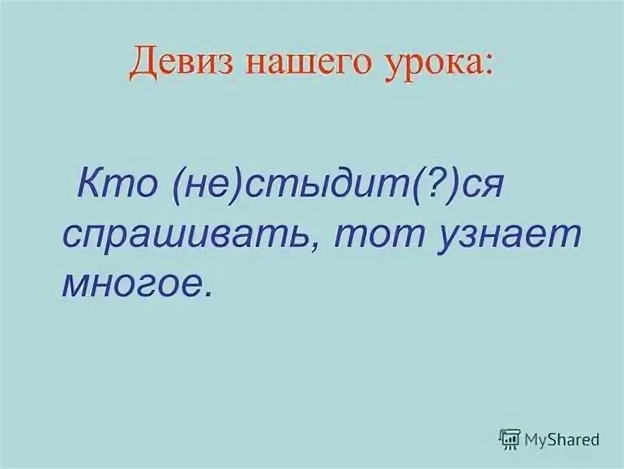 Синонимы блестеть бежать стыдить угощать. Девиз из глаголов. Глаголы для девиза.