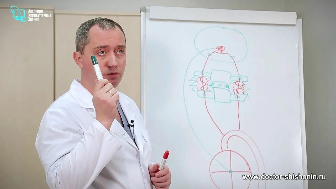 Доктор шишонин атеросклероз. Упражнения при аритмии доктора шишонина. доктор шишонин аритмия. доктор шихонин о стентировании сосудов. подушка доктора шишонина.