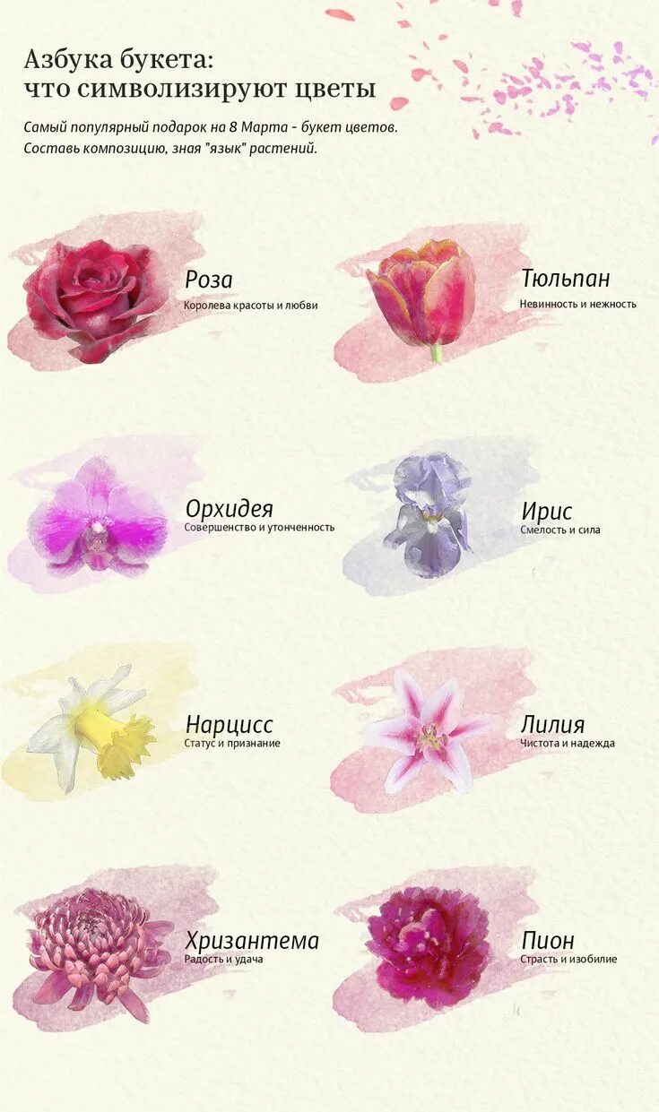 Какие цветы что символизируют. Язык цветов. Обозначение цвета цветов. Цветы на языке цветов