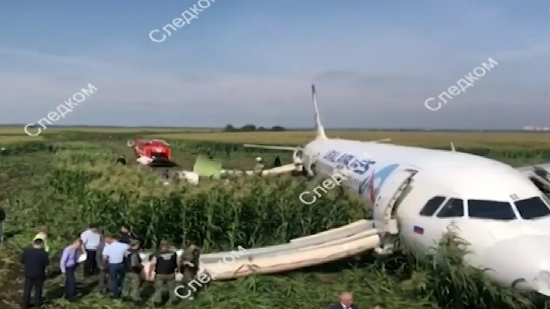 Какой самолет посадили в поле. Посадка самолета. самолет сел в кукурузное поле 15.08.2019. аварийная посадка самолета. аварийная посадка в жуковском на кукурузное поле.