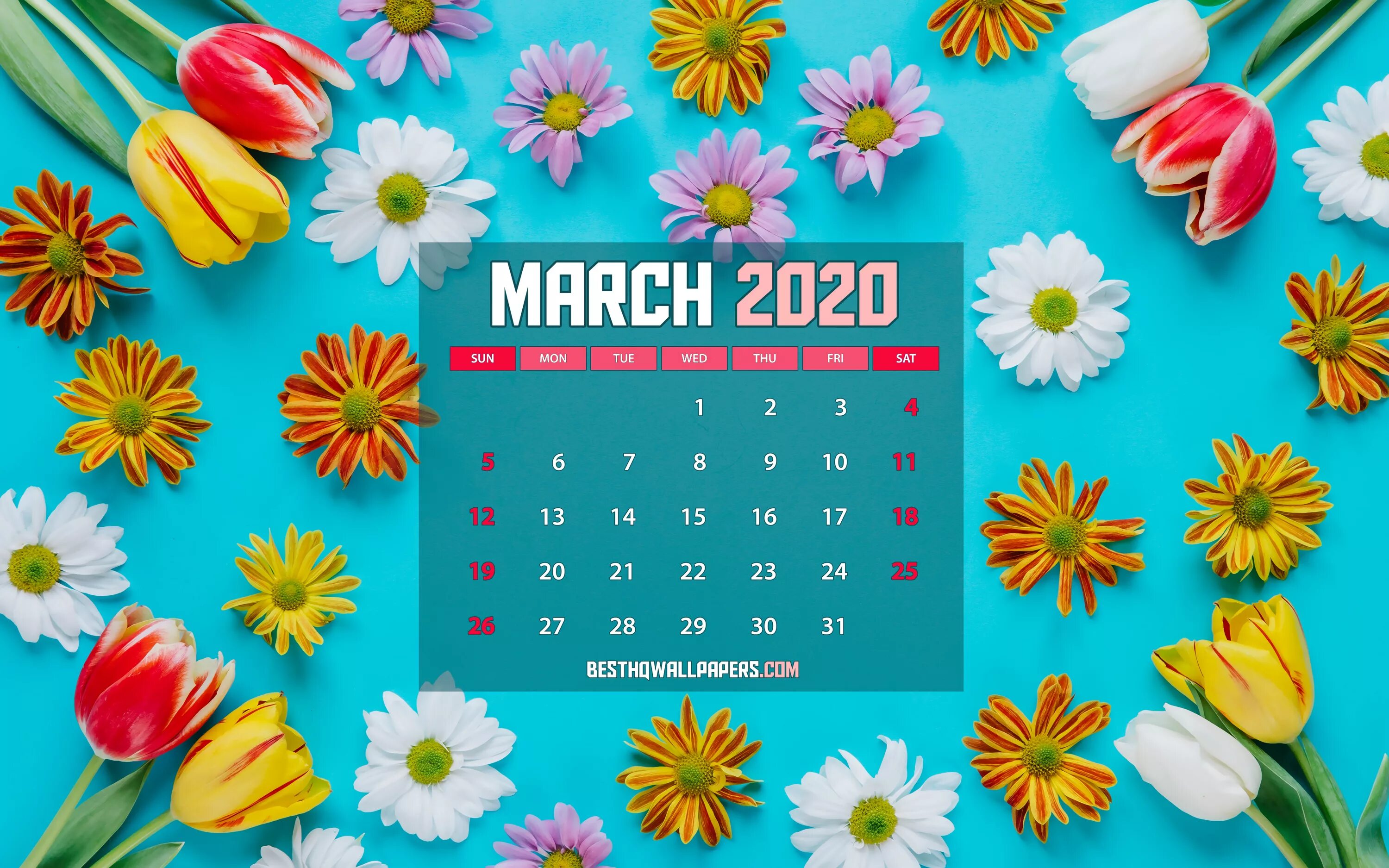 Новое в марте 2020. Календарь март. Календарь цветы. Март 2020. Календарь в марте.