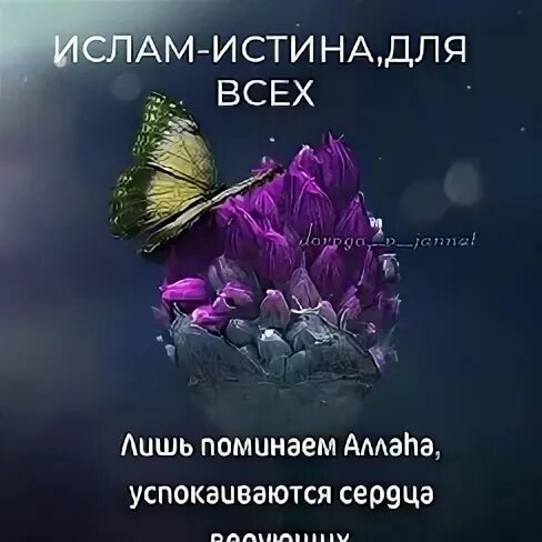 Однажды ученый