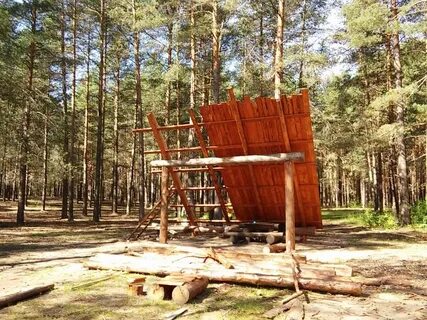 Обустройство лесов
