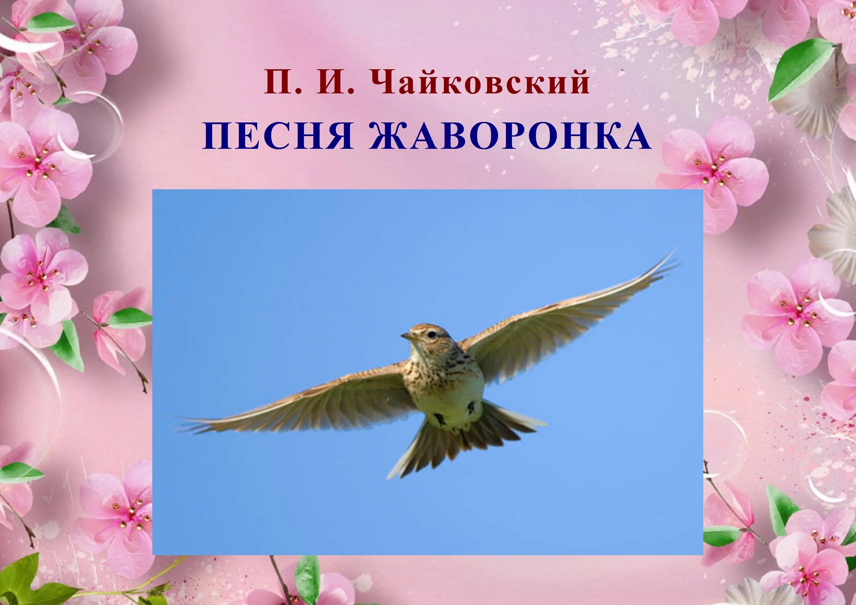 Жаворонок Чайковский. Песня жаворонка. П. И. Чайковский «песня жаворонка». Чудесного весеннего дня. Чайковский песня жаворонка из детского альбома